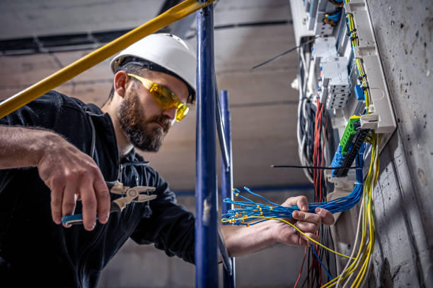Best Generator Installation Services  in Tice, FL